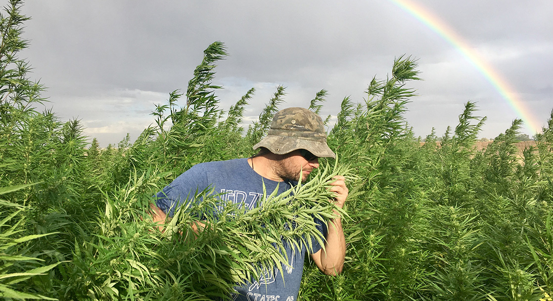 Meet the Man Who's Using "Hemp-enomics" to Undercut Big Agriculture and Protect Farmers