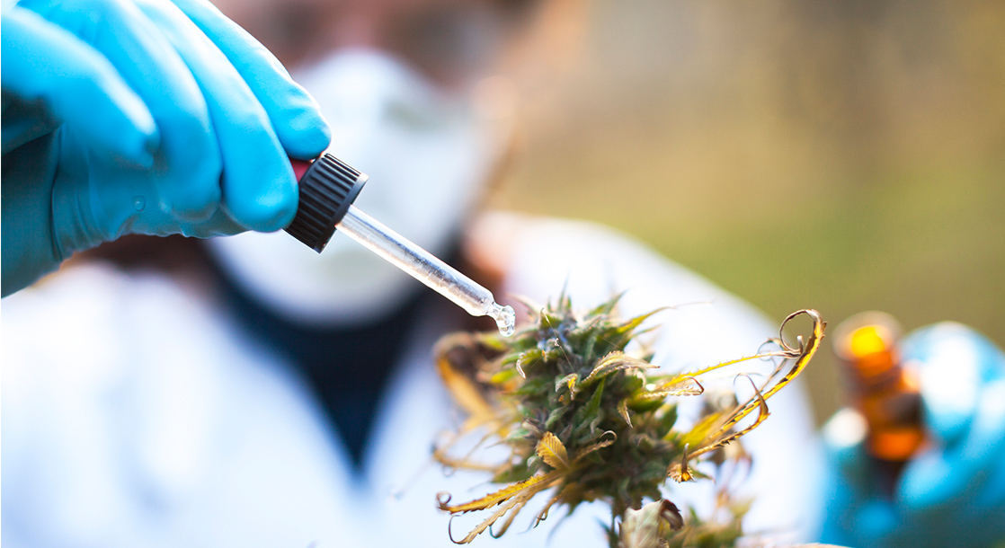 Massachusetts Will Finally License Cannabis Testing Labs, Though