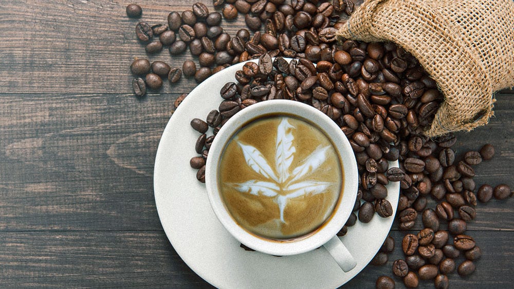 1564613186004_a-whole-new-world-how-coffee-and-cannabis-pair-together-greencamp.jpg