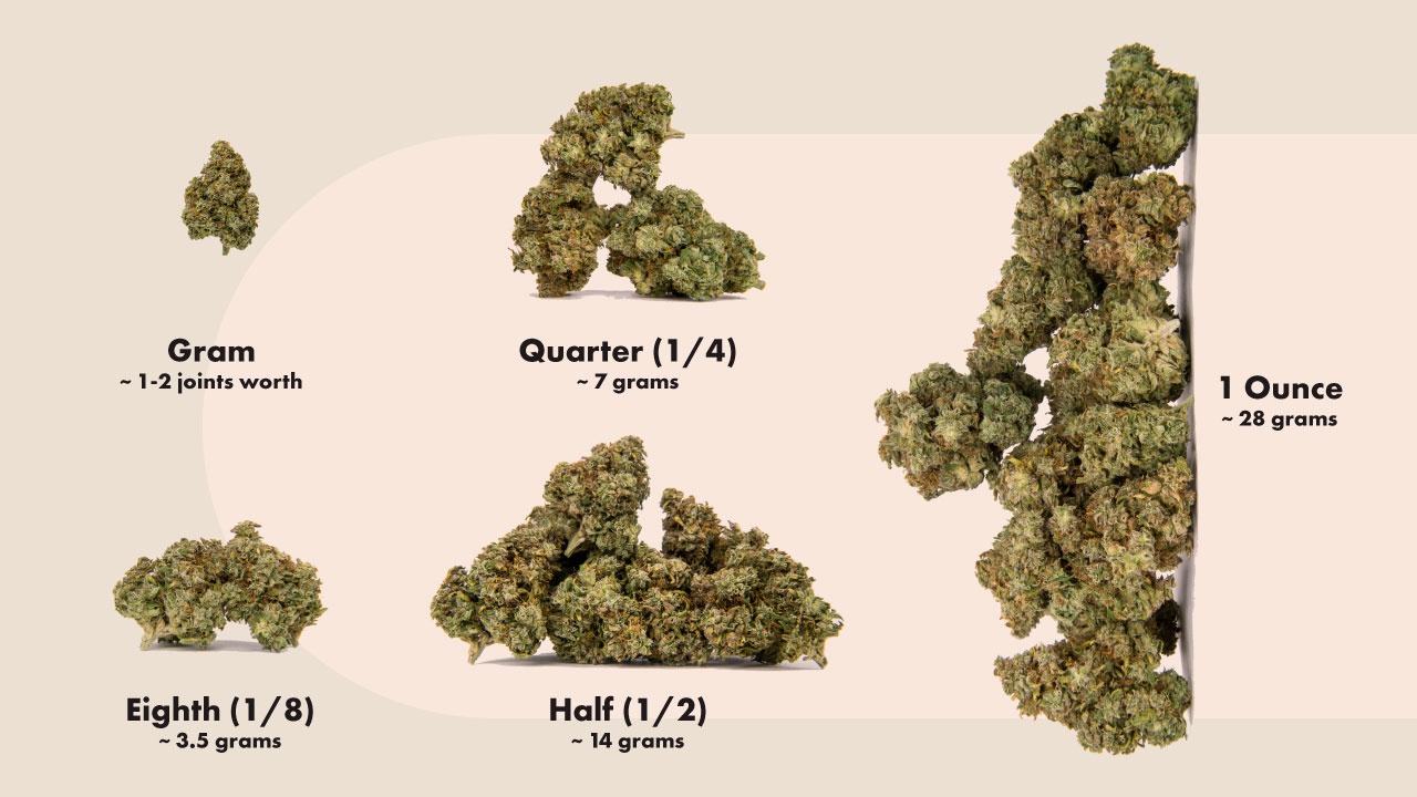 Weed 101: What Are the Average Prices for Pot by Weight ...