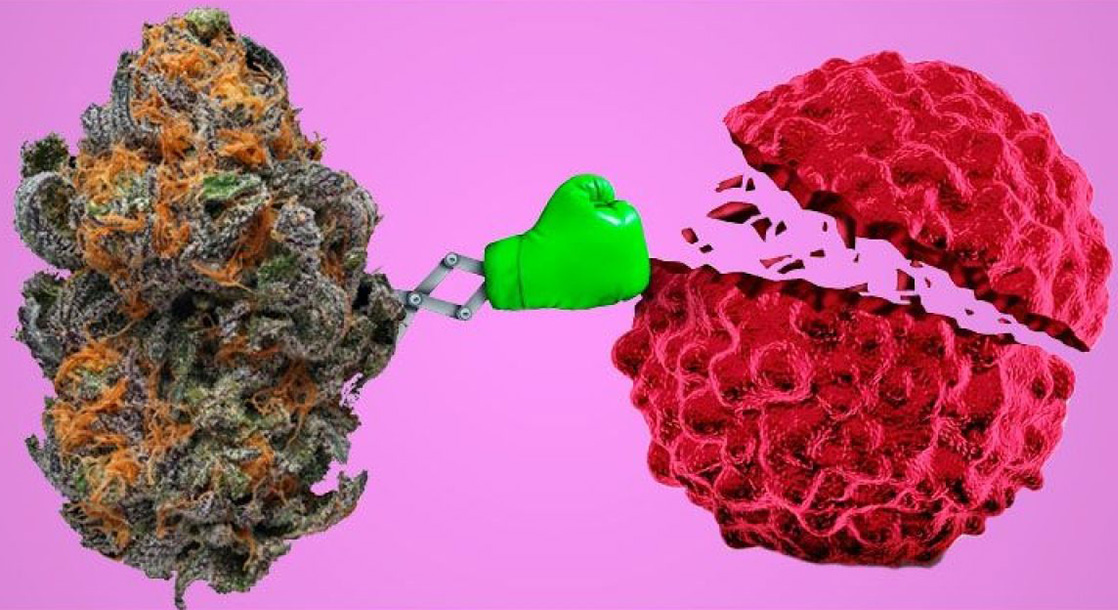 Марихуана опухоль мозга можно ли курить марихуану один раз
