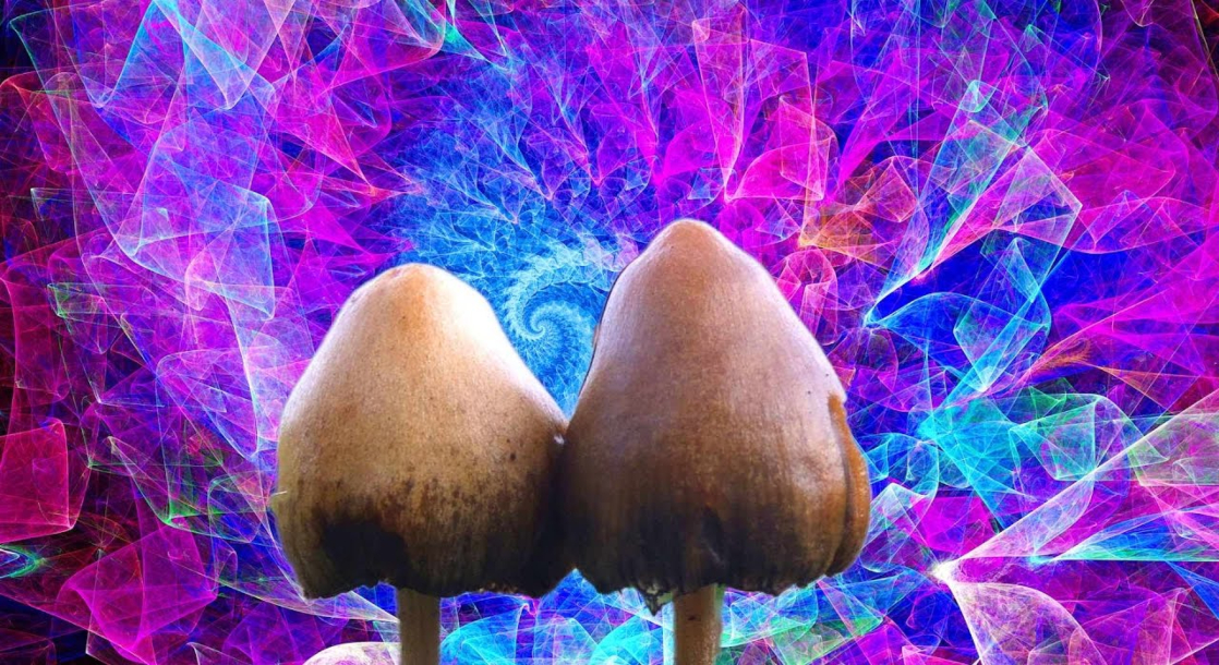 What Is Psilocybin and What Does It Do to Our Brains?