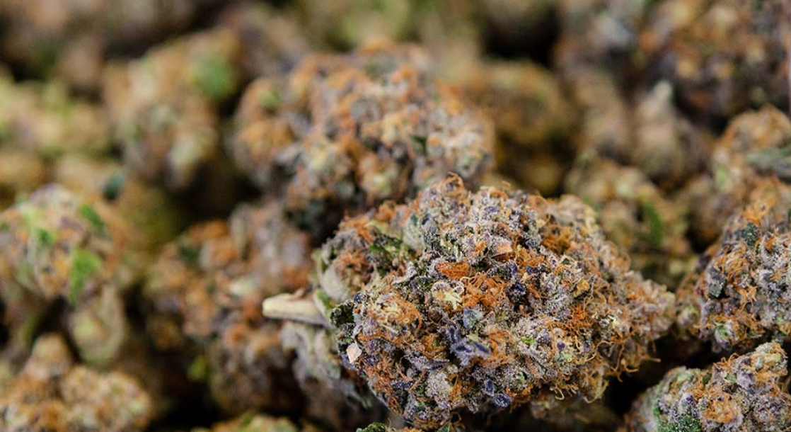 A California Pot Shop Is Selling $1 Eighths of Weed During Coronavirus Lockdown