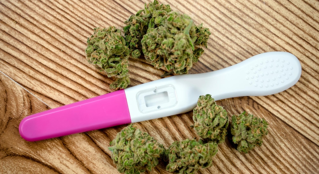photo of Dangers of Cannabis Use During Pregnancy May Be Overblown, Two Studies Suggest image