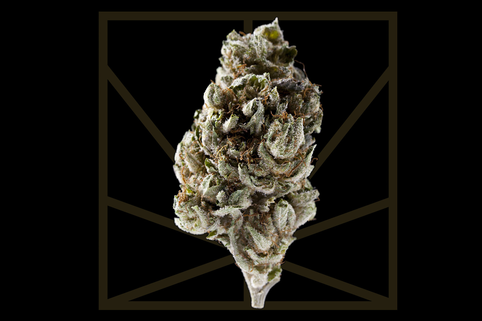 Platinum LA Confidential - Cannabis Strains - INDICA - RELAXED Effect